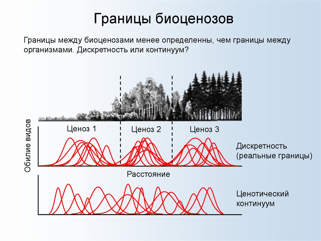 Разграничениями между. Границы биоценоза. Границы биогеоценоза. Границы между сообществами. Границы экосистемы определяются.