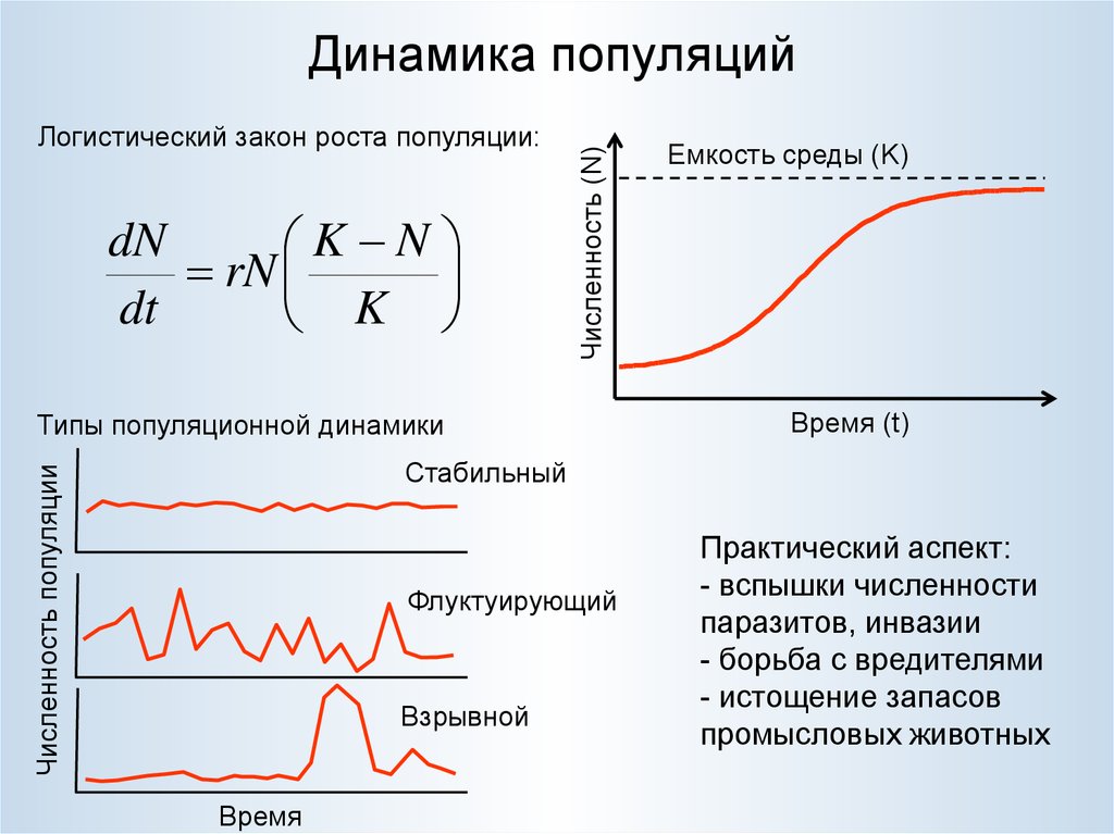 Динамика популяции презентация