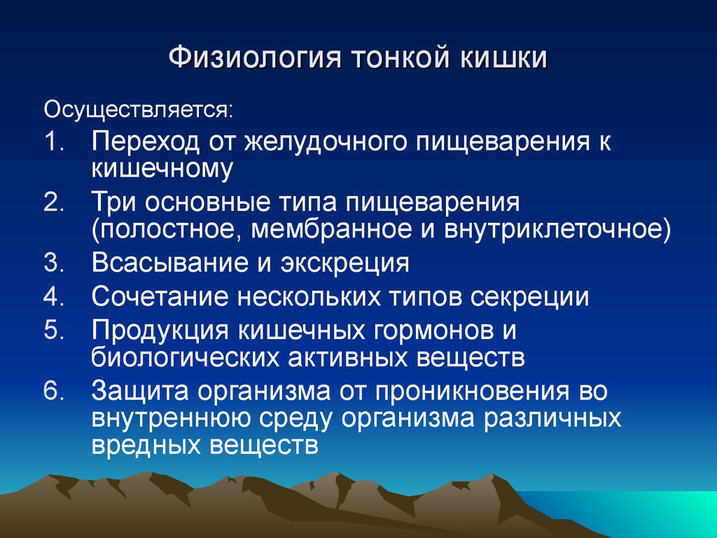 Пищеварение в тонком кишечнике. Физиология тонкого кишечника. Физиологические процессы тонкой кишки. Тонкий кишечник: отделы (анатомически) и физиология.. Функции тонкой кишки физиология.