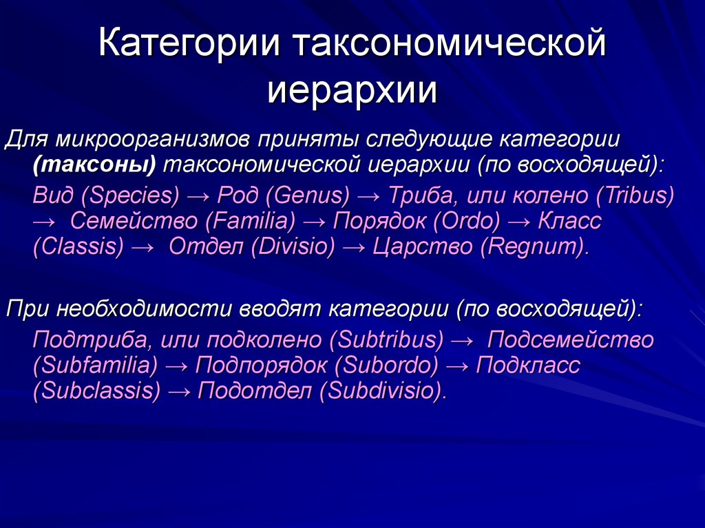 Триба это. Категории таксономической иерархии. Основные таксономические категории бактерий. Таксономические категории микроорганизмов схема. Основные таксономические категории в микробиологии.
