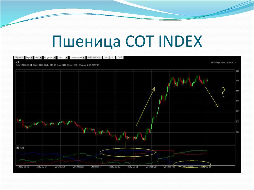 Сота отчеты. Сот-отчетов.