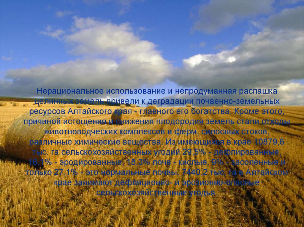 Нерациональное использование и непродуманная распашка целинных земель привели к деградации почвенно-земельных ресурсов Алтайского края 