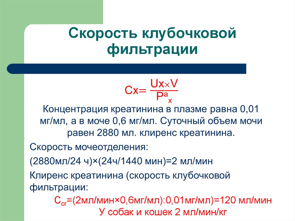 Клубочковая фильтрация. СКФ скорость клубочковой фильтрации что это. Единицы измерения клубочковой фильтрации. Формула клубочковой фильтрации почек. Величина клубочковой фильтрации формула.