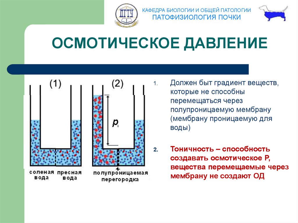 Поддержания осмотического давления