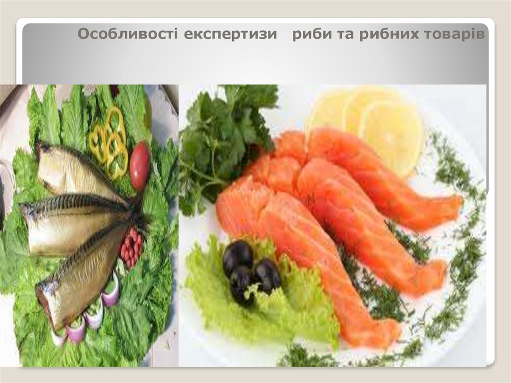 Реферат: Риба і рибні продукти