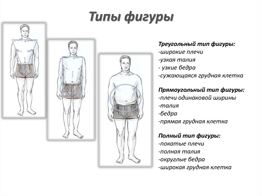 Виды мужской фигуры. Типы телосложения. Типы мужского телосложения и фигуры. Типы телосложения у мужчин. Типажи мужских фигур.