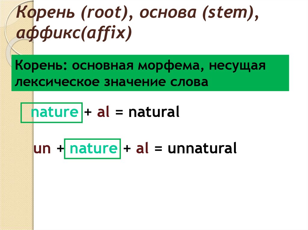 Корень в слове английский