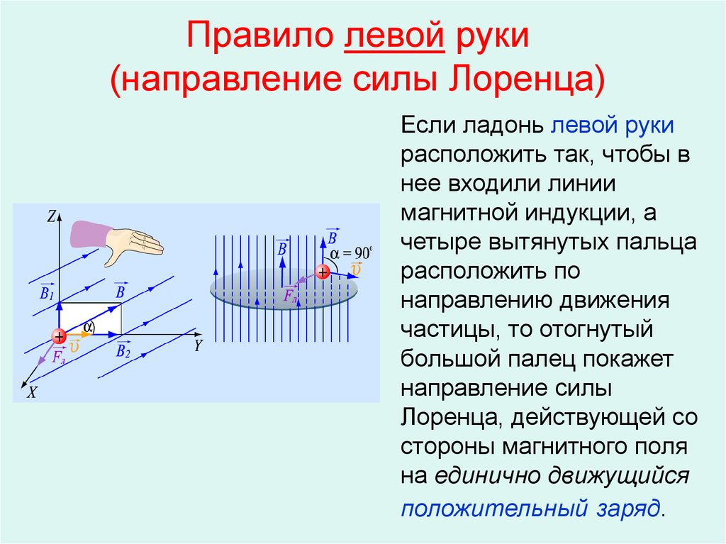 Направление силы лоренца. Сила Лоренца, сила Ампера, правило рук. Сила Лоренца правило левой руки. Правило левой руки физика Лоренца. Закон левой руки для силы Лоренца.