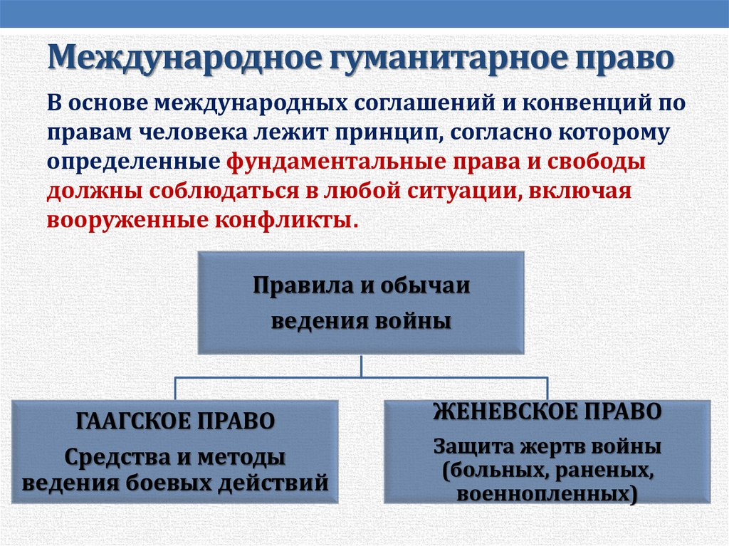 Международное законодательство по защите прав пациентов презентация