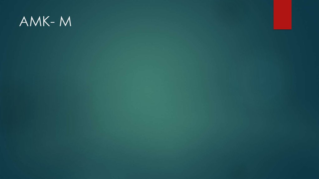 АМК- М