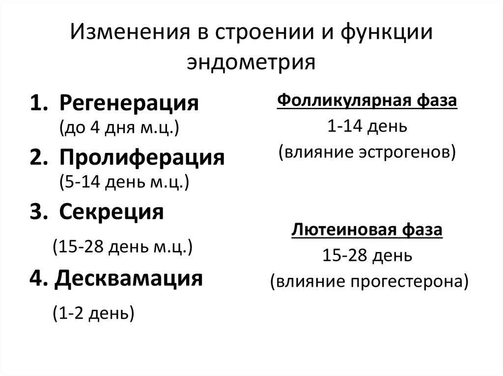 Фаза изменения. Толщина эндометрия в фазы цикла. Толщина эндометрия по фазам цикла норма. Изменения в строении и функции эндометрия. Изменения эндометрия по фазам.