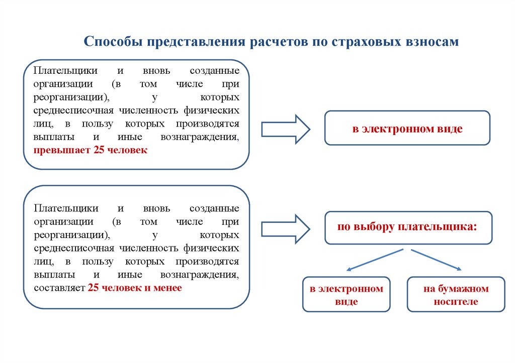 Учетная политика по страховым взносам образец