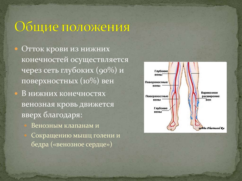 Вены направление движения. Отток крови от нижних конечностей. Отток крови от нижних конечностей осуществляется. Отток вен нижних конечностей. Отток венозной крови от конечностей.