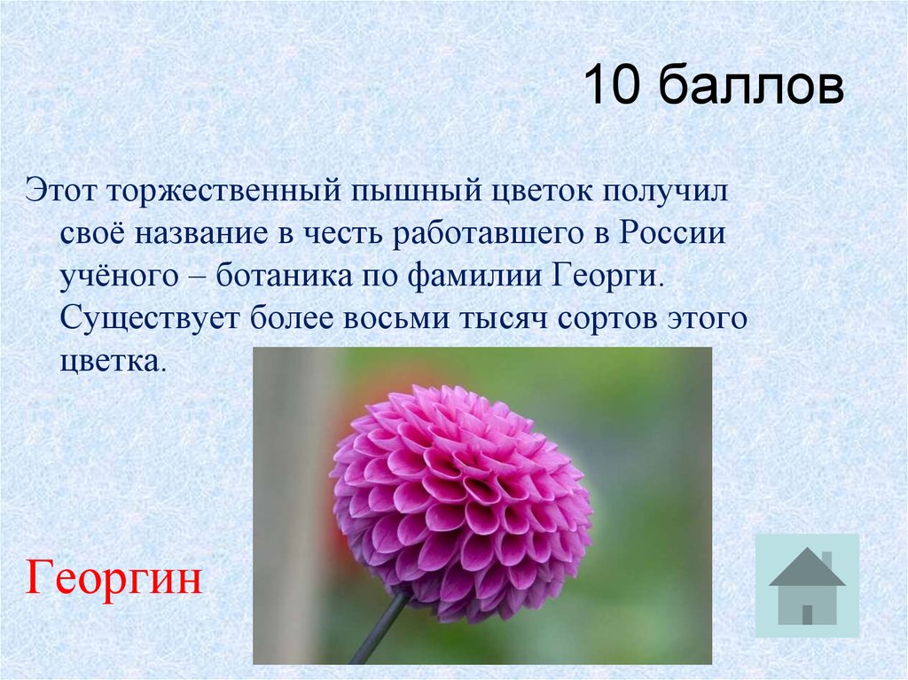 В честь какого цветка. Торжественный пышный цветок получил свое название. Растения которые названы в честь ученых. Цветот названый в честь ученых. Растения которые названы в честь ботаников.