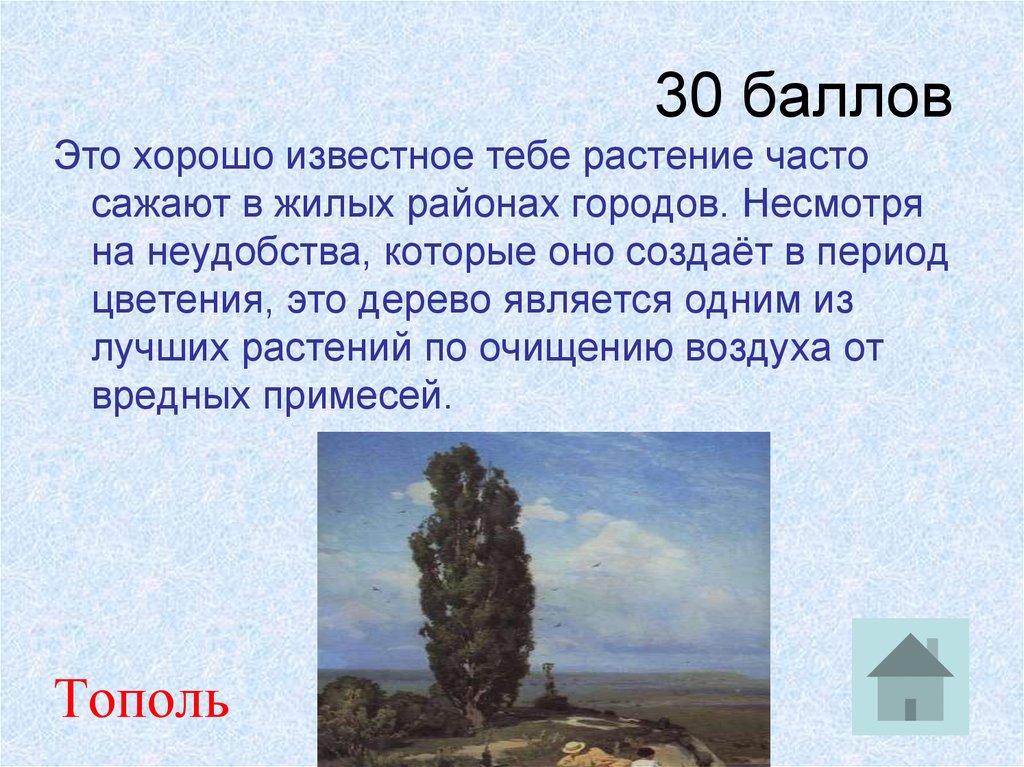 Период баллов. Это хорошо известное тебе растение часто сажают в жилых.