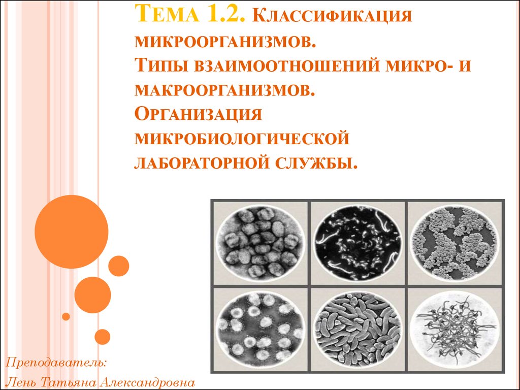 Схема микробиологической диагностики микозов