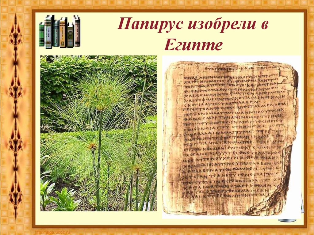 Растение на котором писали первые книги. Папирус писчий материал древнего Египта. Изобретение папируса Египет. Изобретение папируса в древнем Египте. Тростниковый Папирус древний Египет.