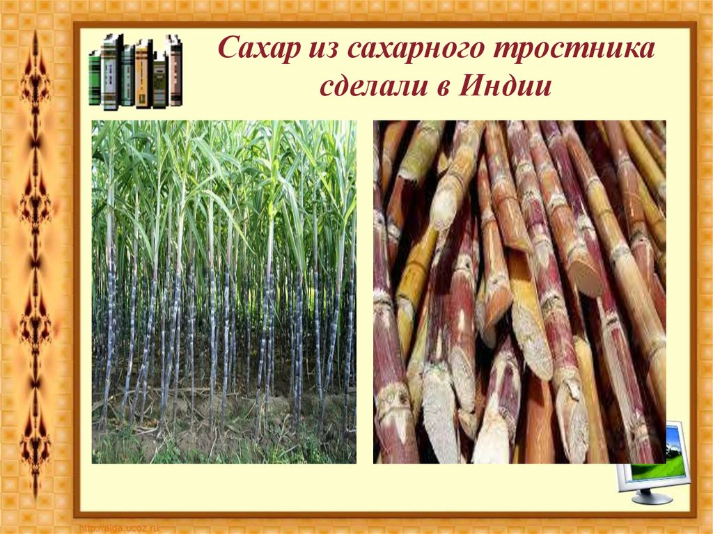 Сахарный тростник содержит 9