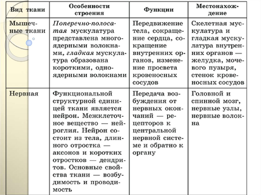 Характеристика тканей человека таблица