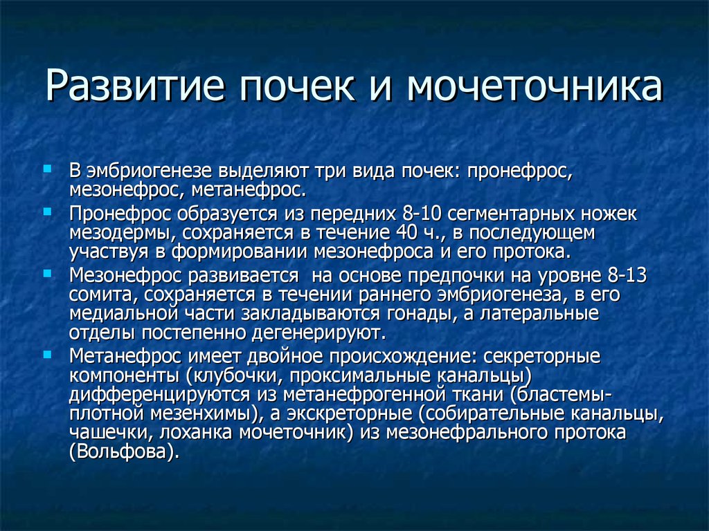 Развитие мочеточников