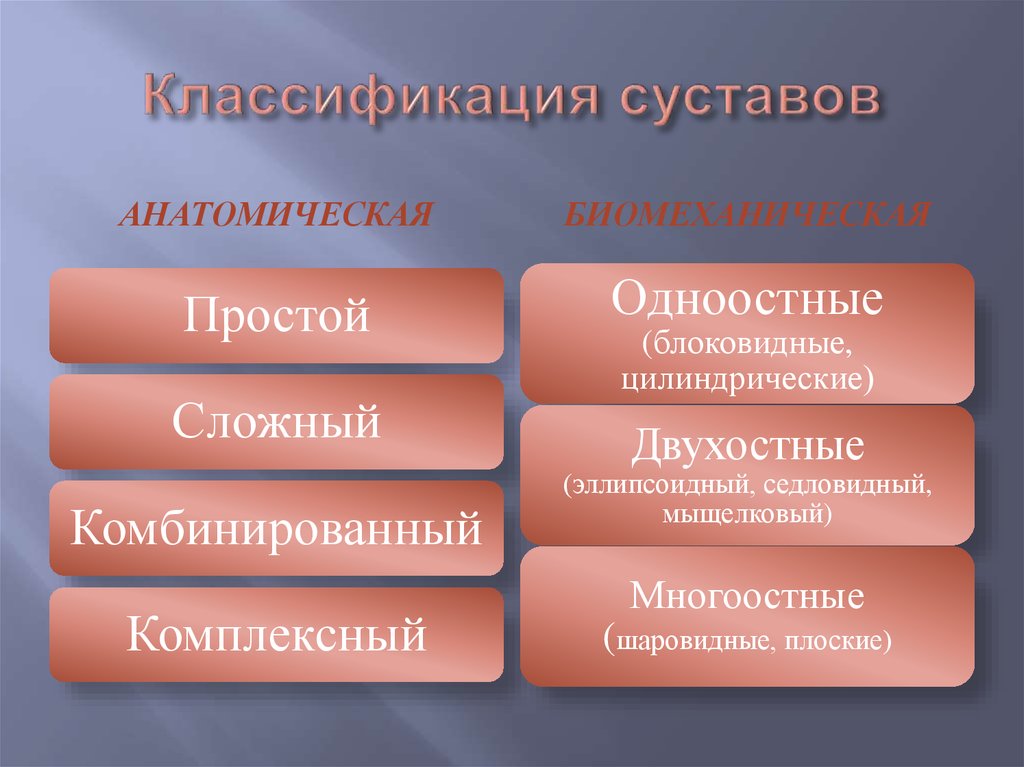 Классификация суставов. Строение и классификация суставов. Классификация суставов по строению. Анатомическая классификация суставов. Биомеханическая и анатомическая классификация суставов.