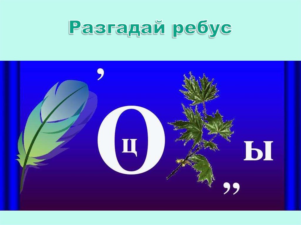 Ребусы про цветы в картинках с ответами