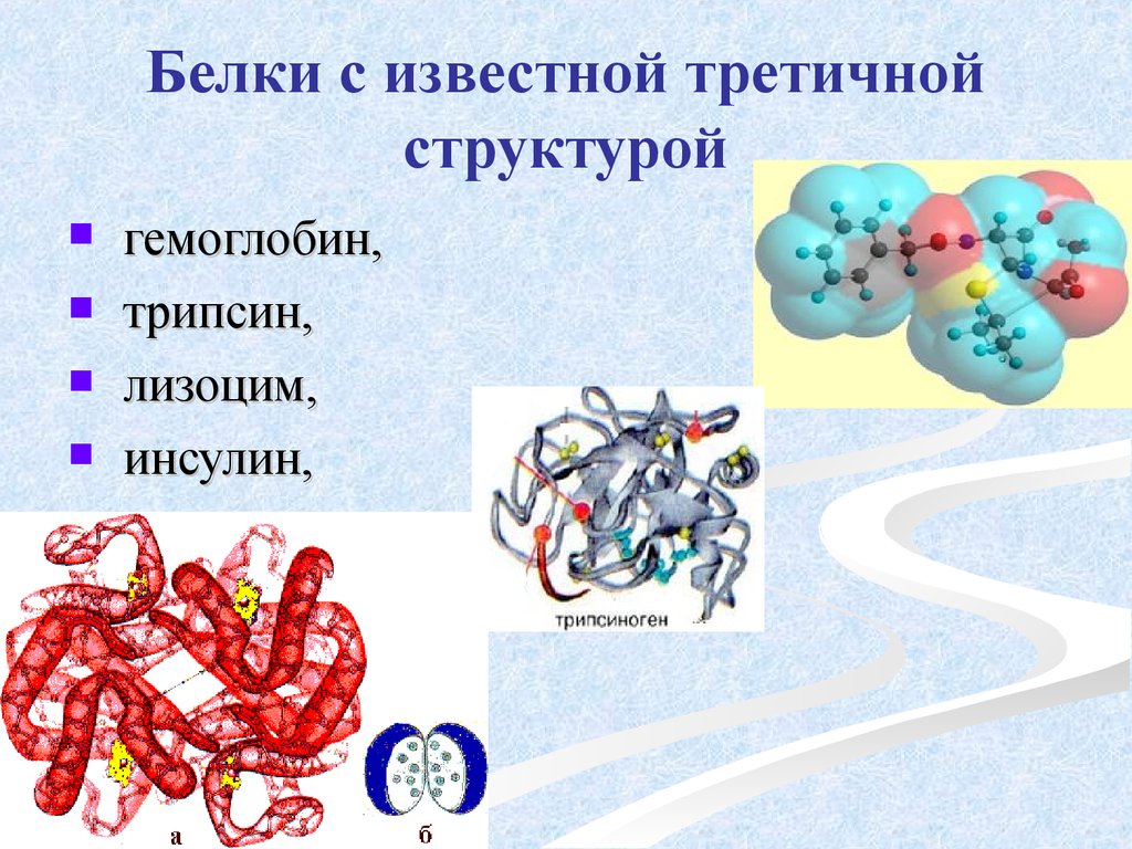 Виды структур белков. Белковая молекула третичная структура. Третичная структура белка. Третичная структура белков. Белок третичная структура.