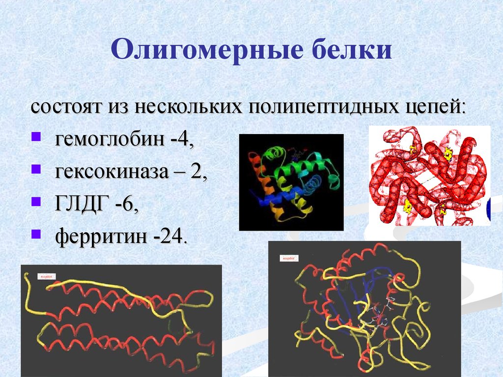 Белки состоящие только из белков. Гемоглобин олигомерный белок. Олигомерная структура белка. Белок из нескольких полипептидных цепей. Олигомерные белки примеры.