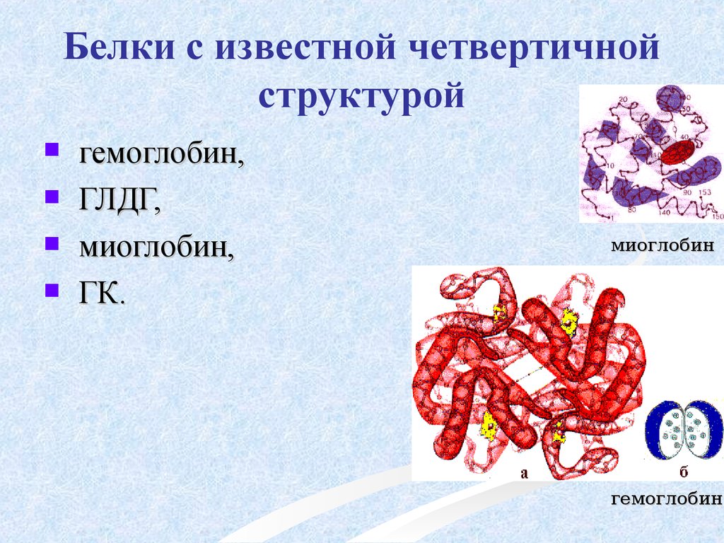 Четвертичная структура белков. Миоглобин структура белка четвертичная. Четвертичная структура белка примеры белков. Четвертичной структуры белка белка гемоглобина.. Четвертичная структура белка примеры.