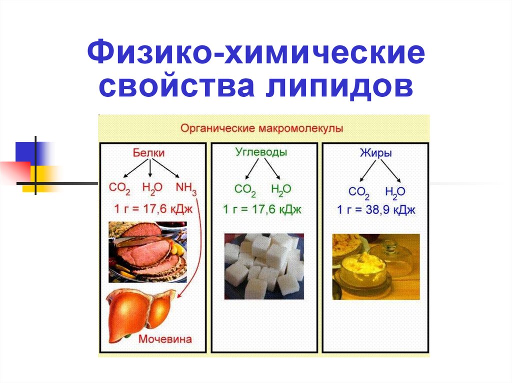 1 физико химические свойства. Физико химические свойства нейтральных жиров. Фосфолипиды физико-химические свойства. Физико-химические свойства липидов. Физико-химические свойства фосфолипидов.