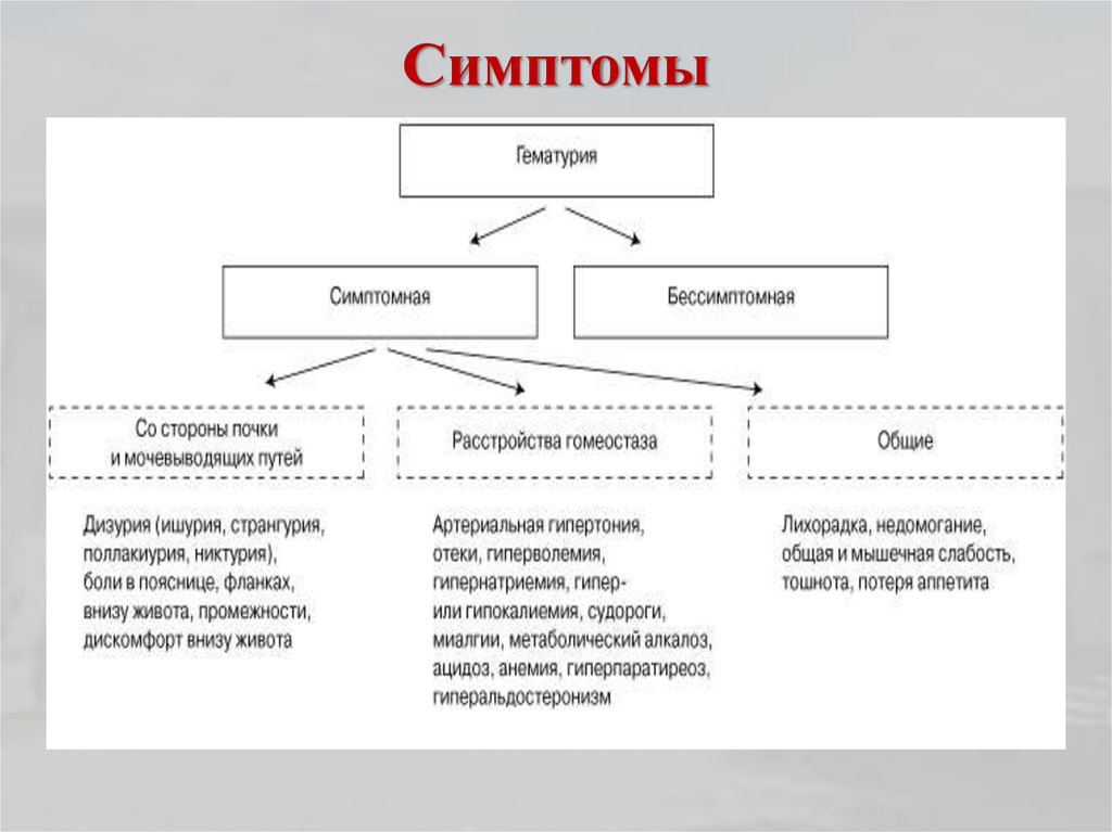 Гематурия характерна для тест. Классификация гематурии дети. Гематурия классификация.