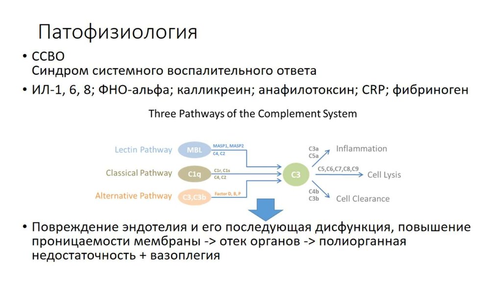 Патофизиология