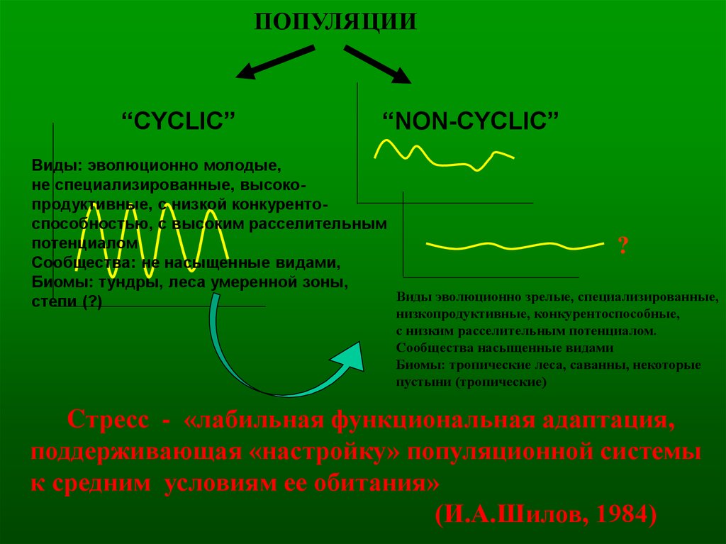 Назовите верно. Популяционные циклы. Генетико-эволюционный ряд. Виды популяционных волн. Популяционный эффект это.