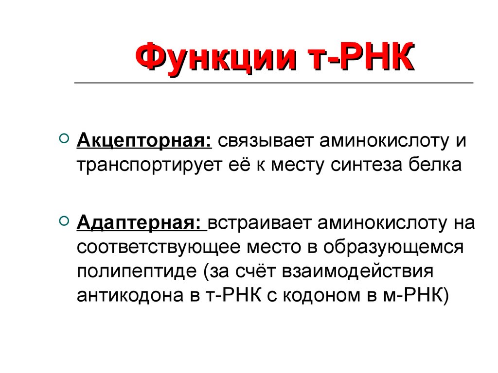 Функциональная рнк. Транспортная РНК функции. Функции транспортной РНК кратко. Функции ТРНК. Т-РНК функции.