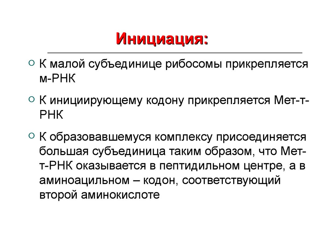 Кодон инициации. Матричные биосинтезы. Инициация это в педагогике. Инициация трансляции.