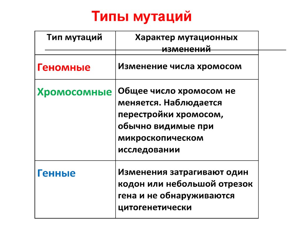 Составьте схему виды мутаций