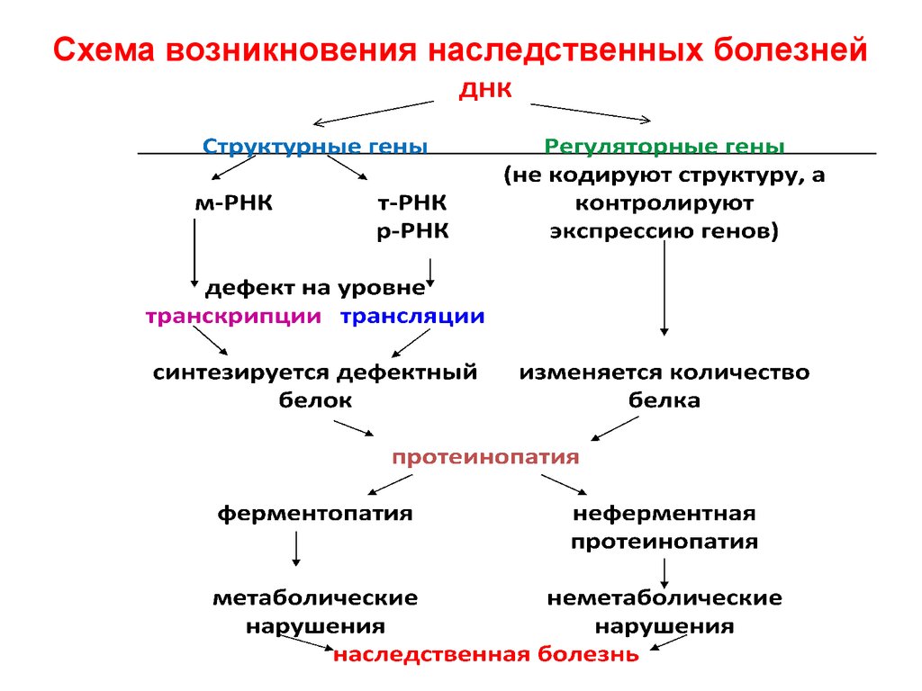 Генные болезни схема