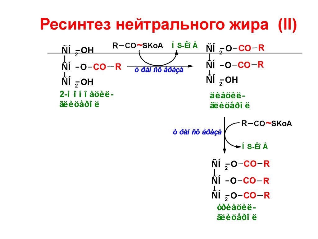 Ресинтез это