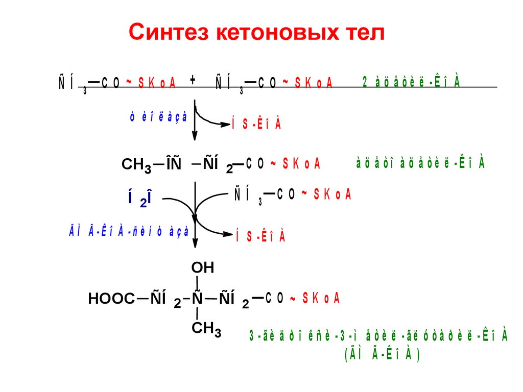 Синтез кетоновых тел схема