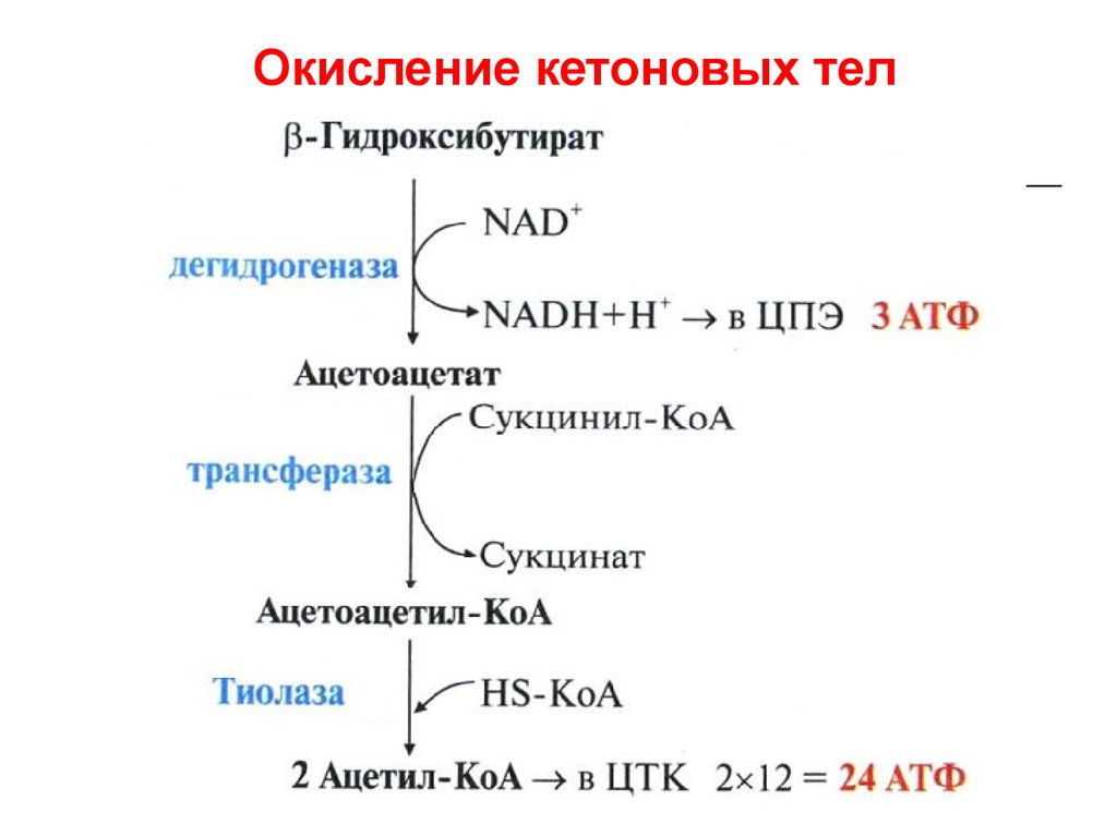 Распад тела