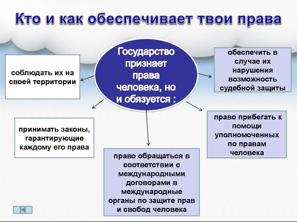 Защита прав человека в государстве презентация 10 класс право певцова