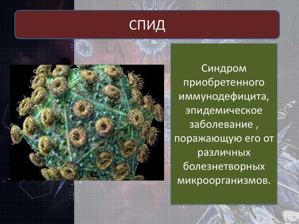 Вирус это неклеточная форма. Неклеточные формы жизни. Форма жизни вирусов. Вирусы неклеточные формы. Неклеточные организмы.