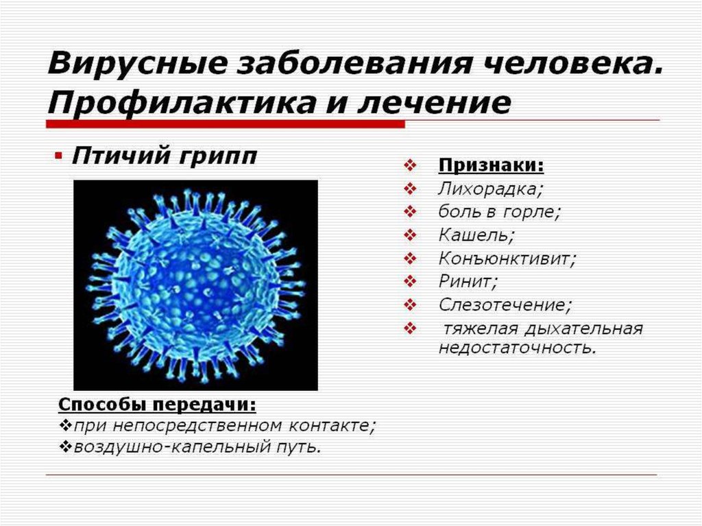 Неклеточная форма жизни вирусы 10 класс биология презентация