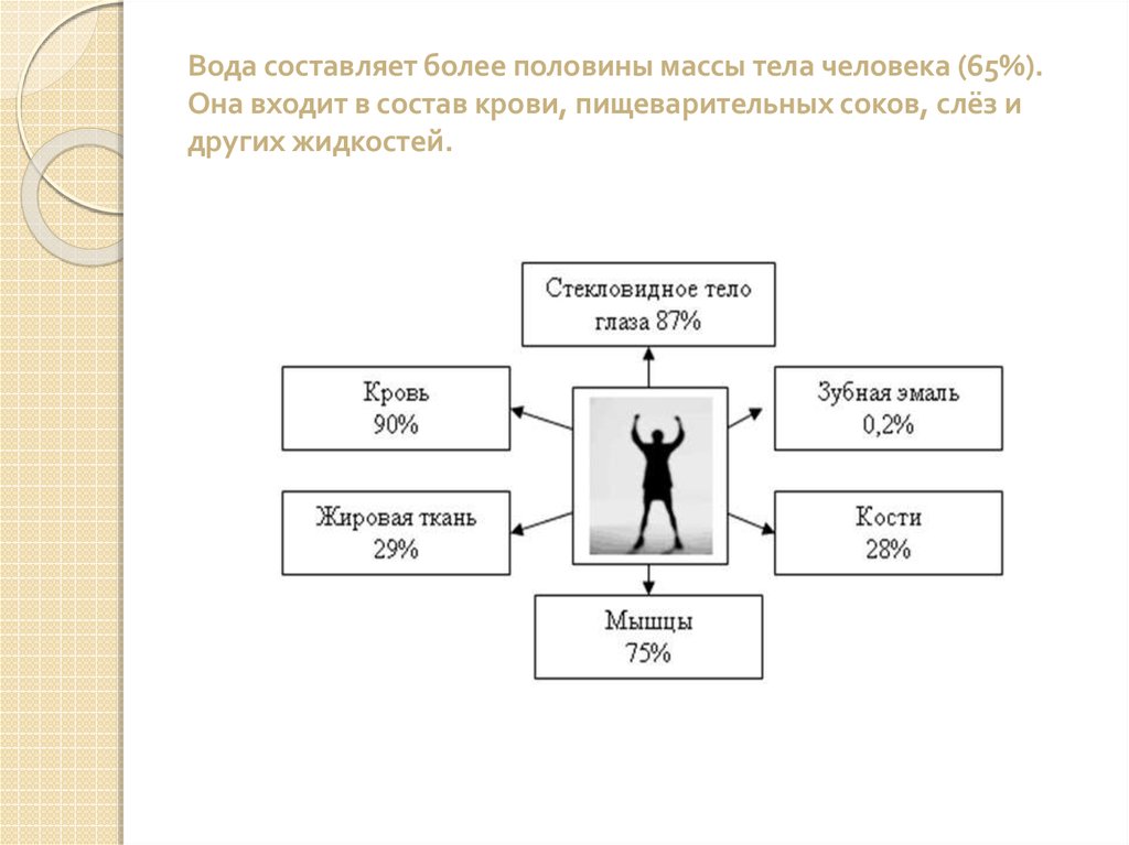 Вес тела человека. Вода составляет массы тела человека. Вода составляет более массы тела. Вода составляет от массы тела. Составляют бо́льшую часть организма по массе.