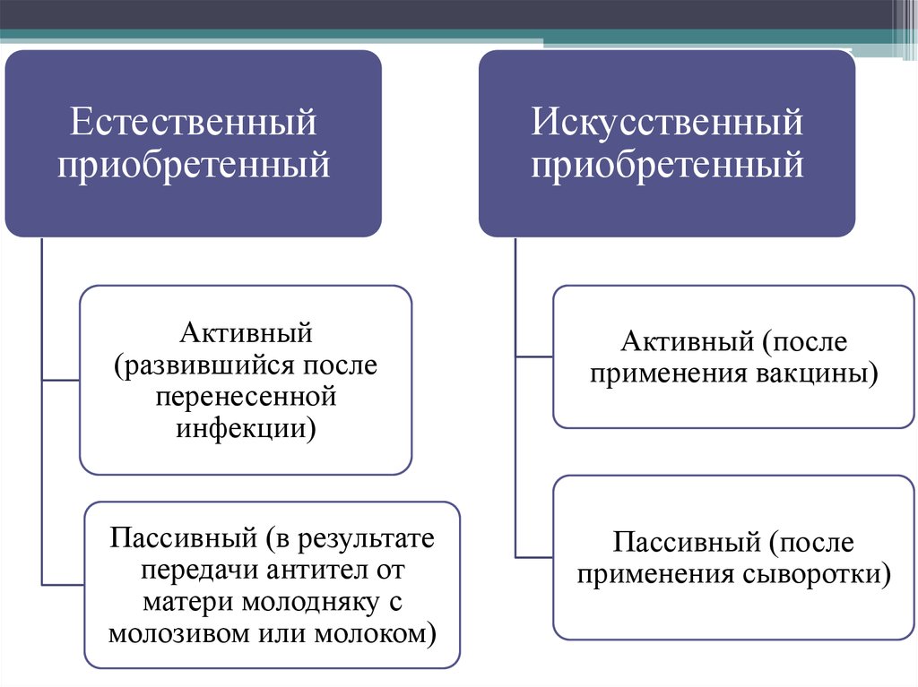 Способы приобретения иммунитета и его вид