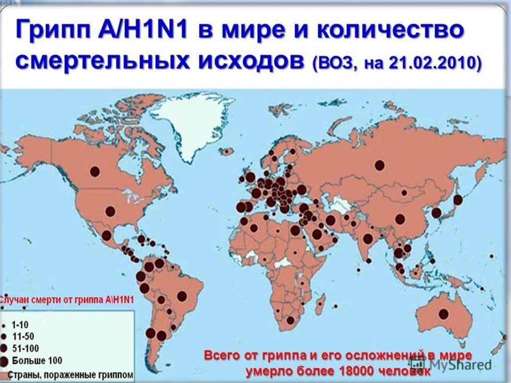 Распространенный грипп. Распространенность гриппа h1n1 в мире на карте. Грипп статистика. Карта распространения гриппа. Свиной грипп карта распространения.