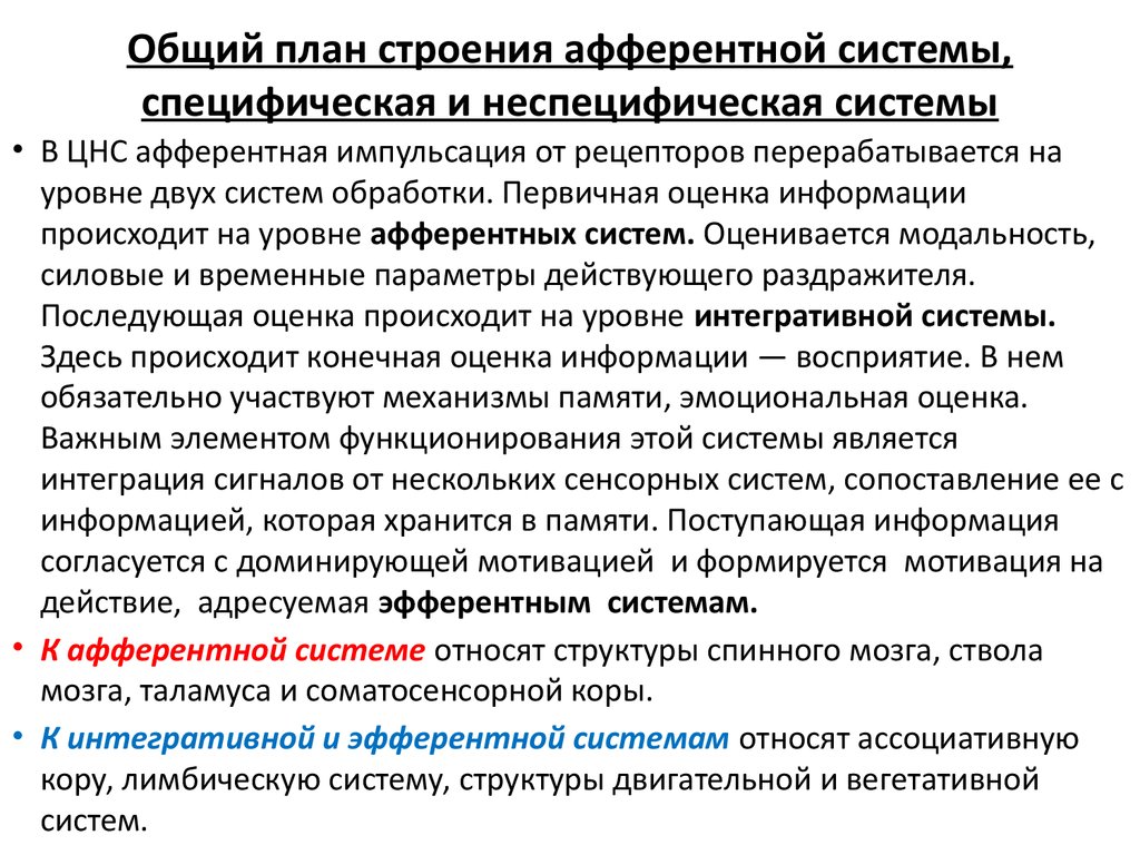 Специфическая система. Специфические и неспецифические афферентные системы. Специфическая афферентная система. Специфическая и неспецифическая афферентация. Понятие о специфической и неспецифической афферентации.