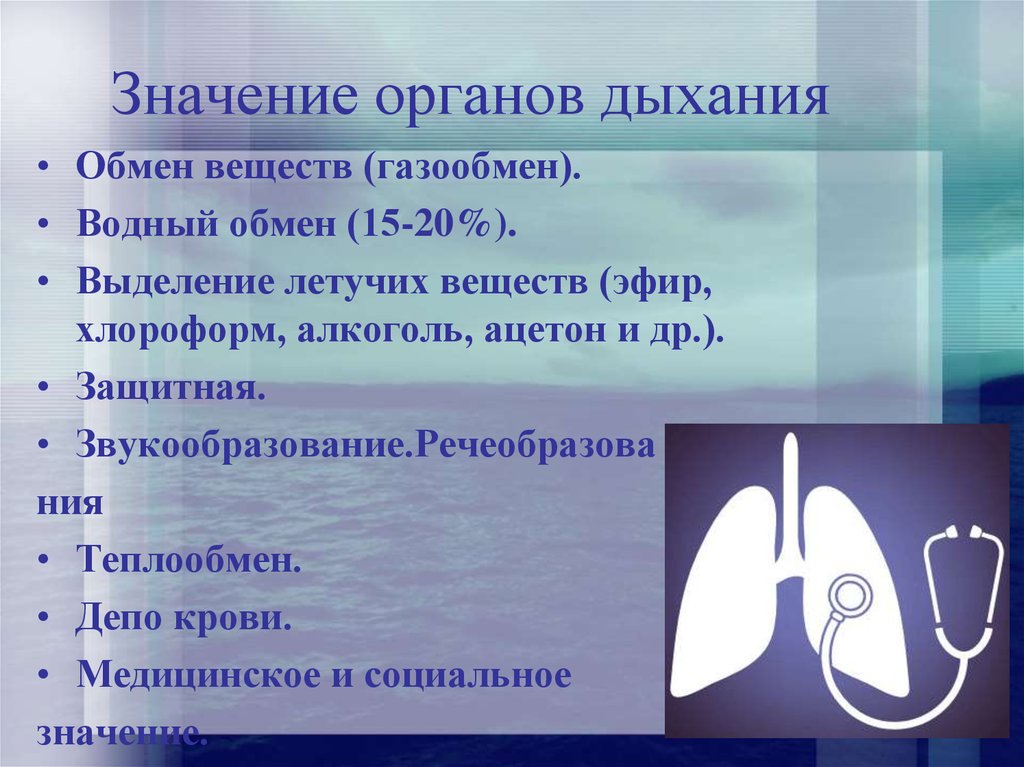 Вдох значение. Значение дыхательной системы. Значение дыхания. Значение дыхания органы дыхания. Значение дыхания органы дыхательной системы.