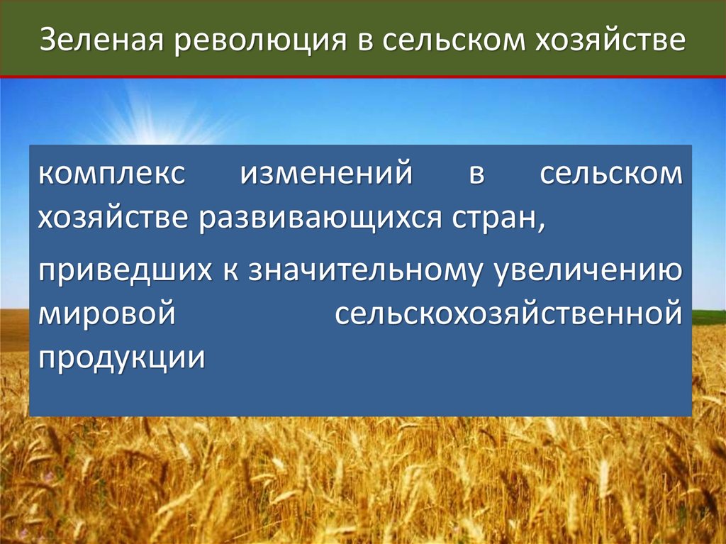 Изменения сельских. Революция сельского хозяйства. Зеленая революция в сельском хозяйстве. Изменения в сельском хозяйстве. Понятие о зеленой революции.