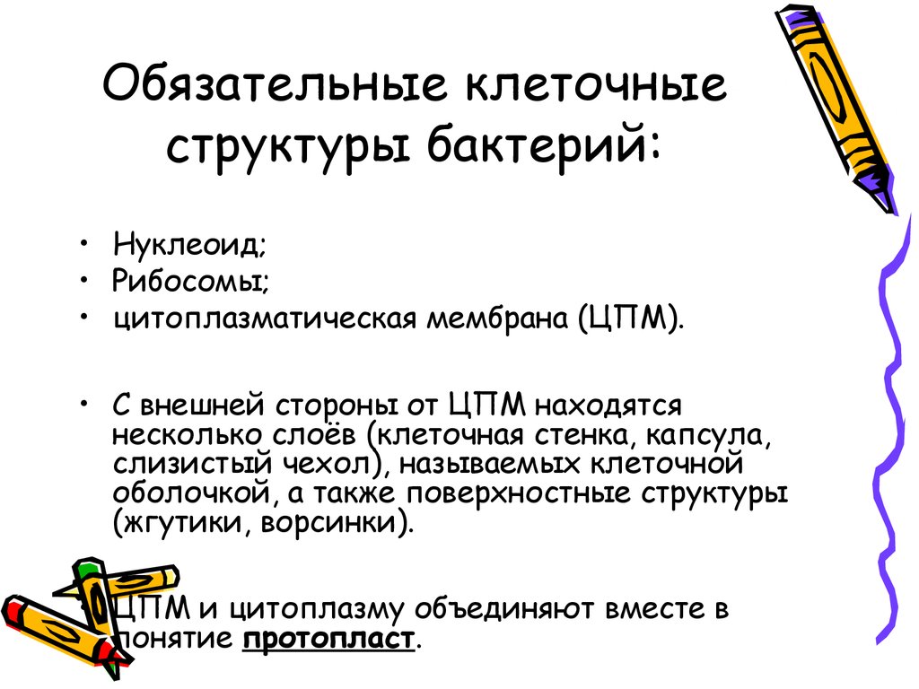 Обязательные клетки